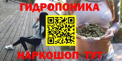 стафф Лесосибирск